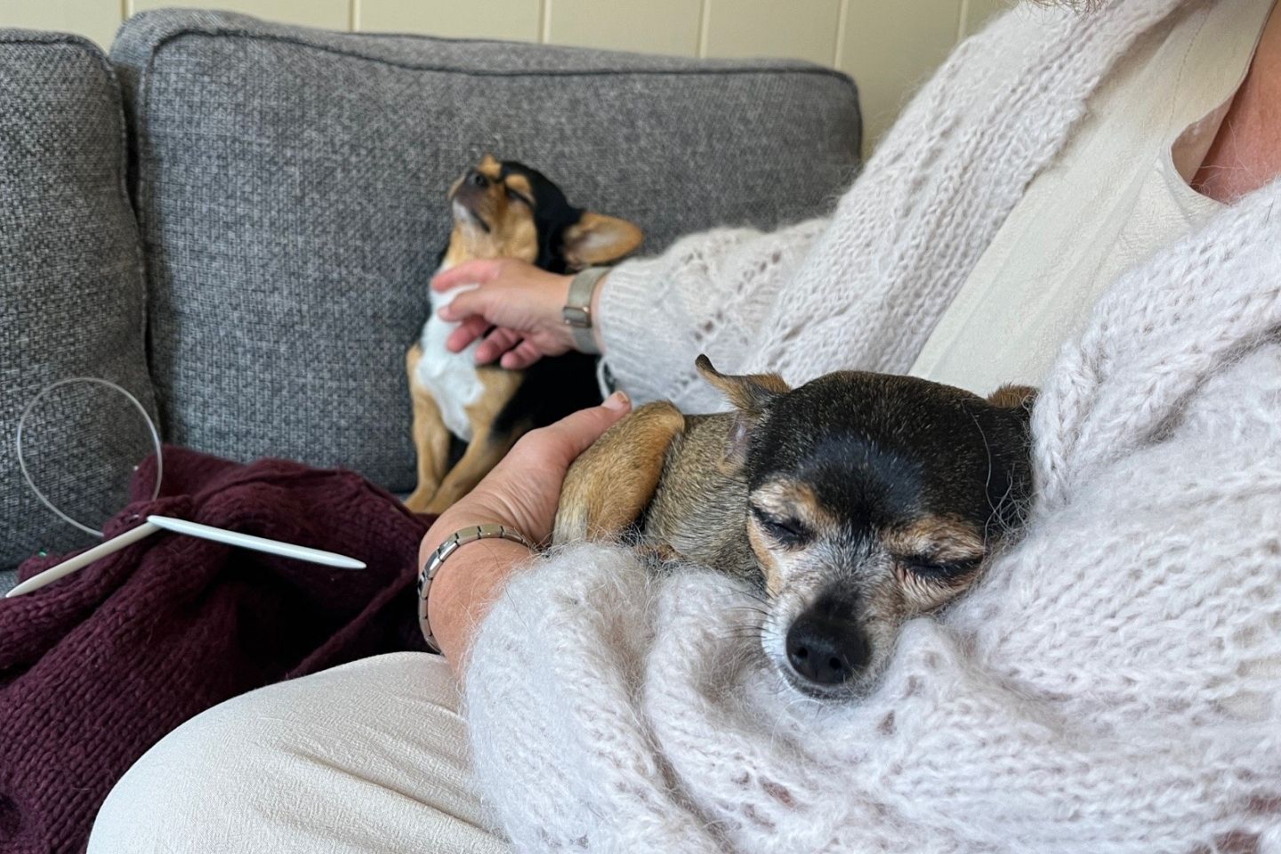 Enslig fostermor med hund i fanget